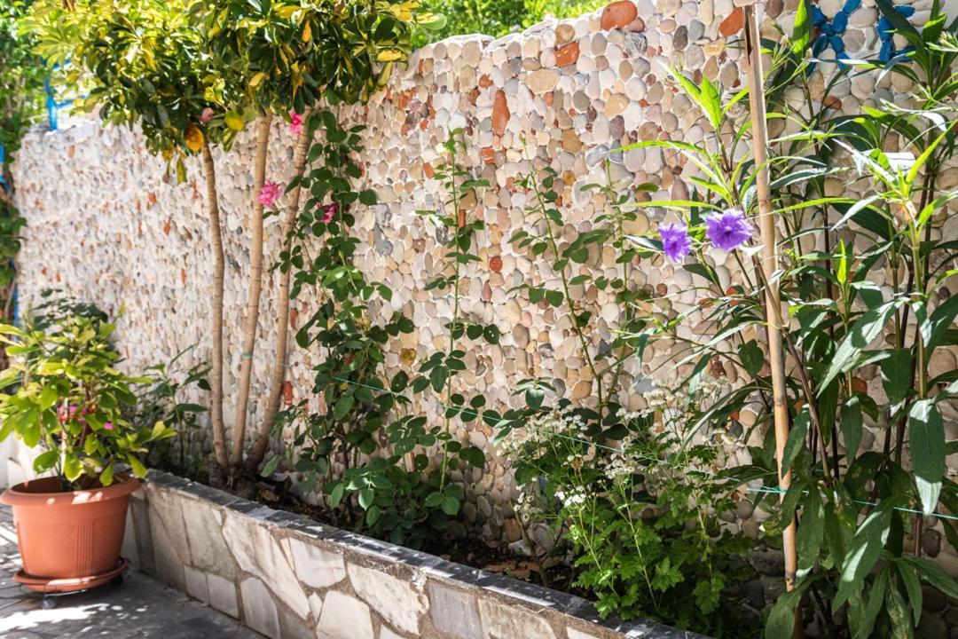 Olive Tree Villa 리지아 외부 사진