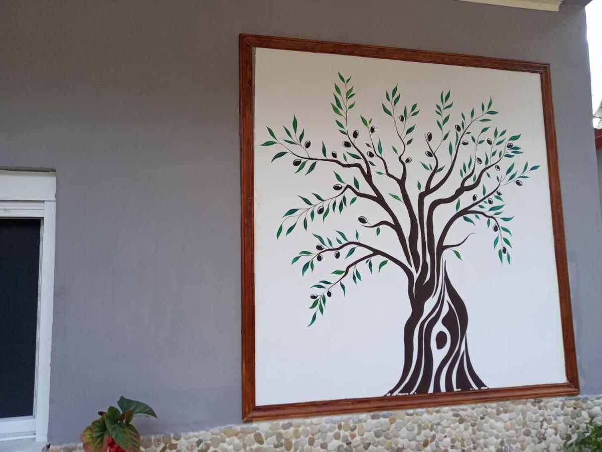 Olive Tree Villa 리지아 외부 사진